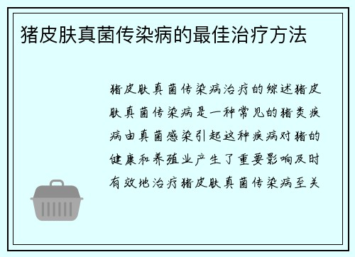猪皮肤真菌传染病的最佳治疗方法