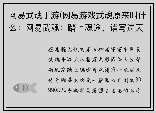 网易武魂手游(网易游戏武魂原来叫什么：网易武魂：踏上魂途，谱写逆天传奇)